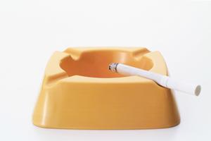 【完全ガイド】TOKAIモバイルショップ｜ソフトバンク・ワイモバイル・格安SIMの選び方と店舗情報