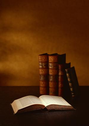 ガチャガチャの森：豊富なラインナップと楽しい体験が魅力のガチャガチャ専門店